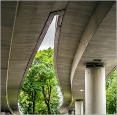 Bundesautobahnbegleitgrün