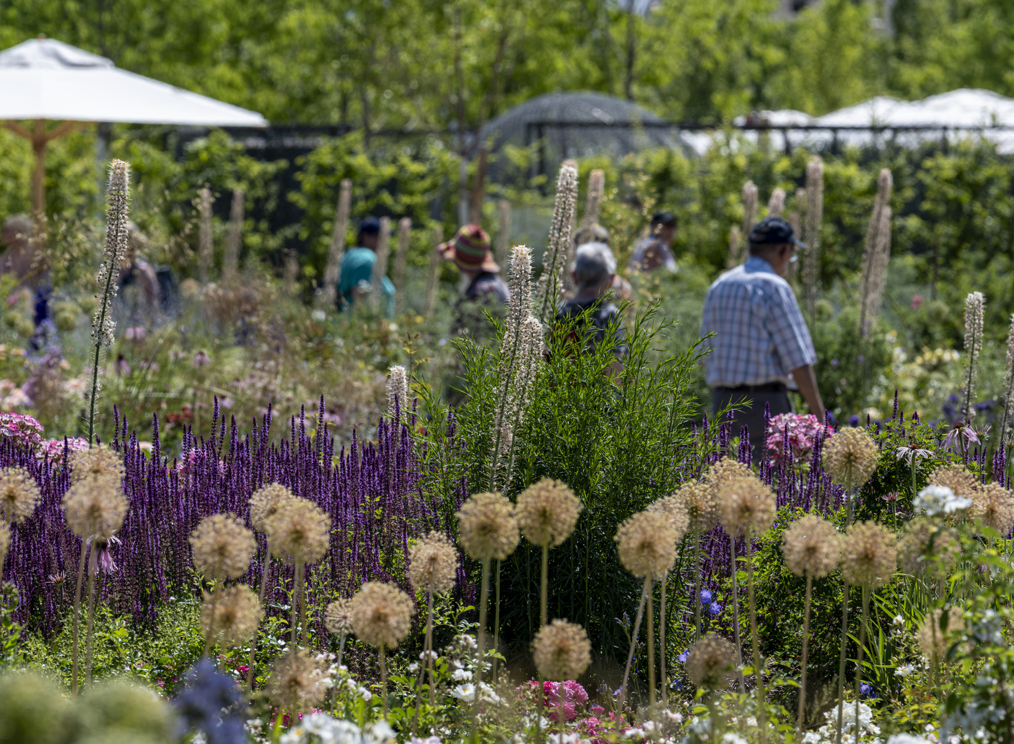 Bundesgartenshow 2023