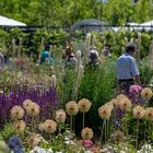 Bundesgartenshow 2023