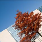 Bundeskanzleramt im Herbst