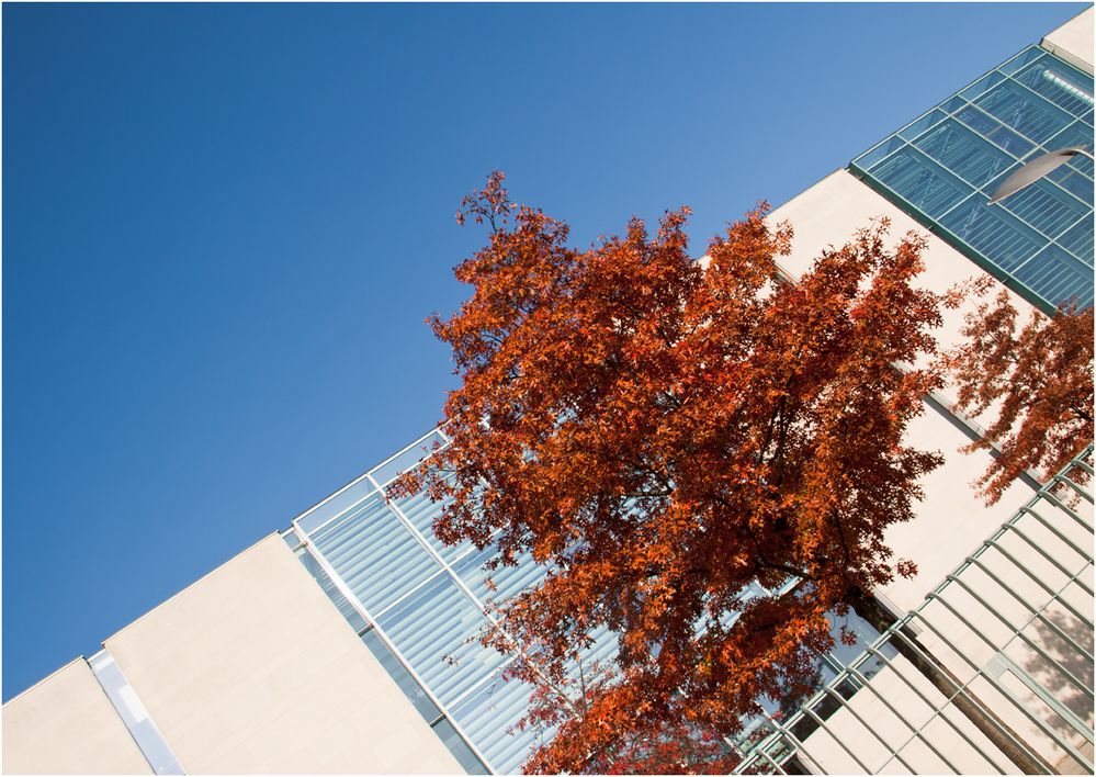 Bundeskanzleramt im Herbst