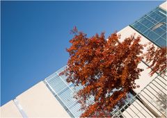 Bundeskanzleramt im Herbst