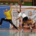 Bundesliga Handball 2