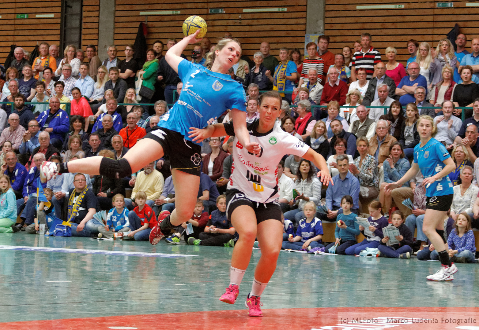 Bundesliga Handball