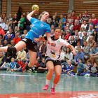 Bundesliga Handball