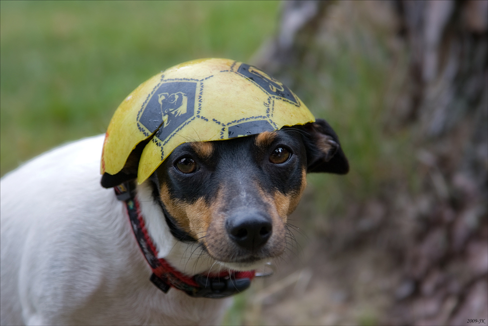 Bundesliga hat angefangen