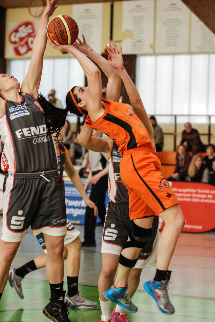 Bundesliga Rhein-Main Baskets Februar 2014