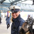 Bundespolizei am Hamburger Hauptbahnhof