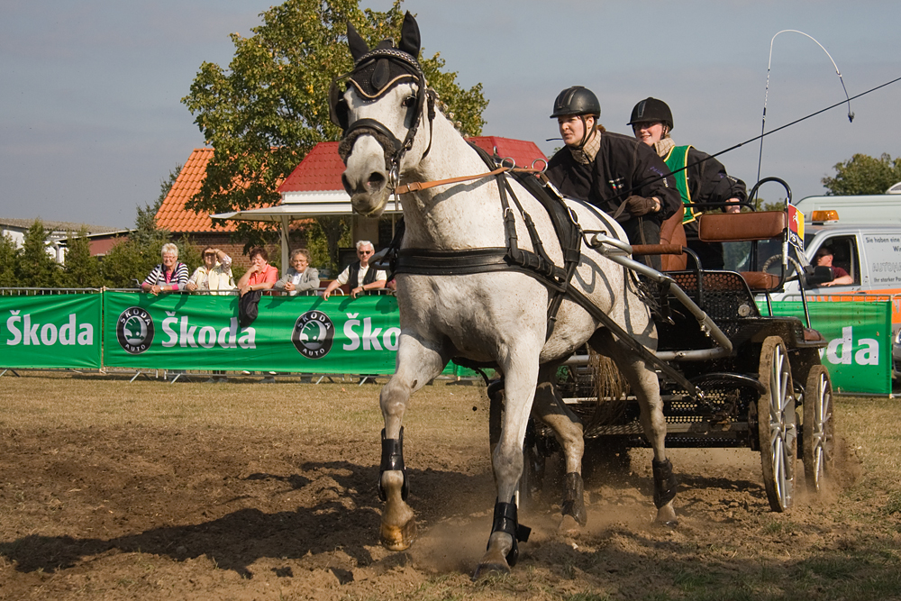 Bundesvergleichswettkampf Jugend 2009