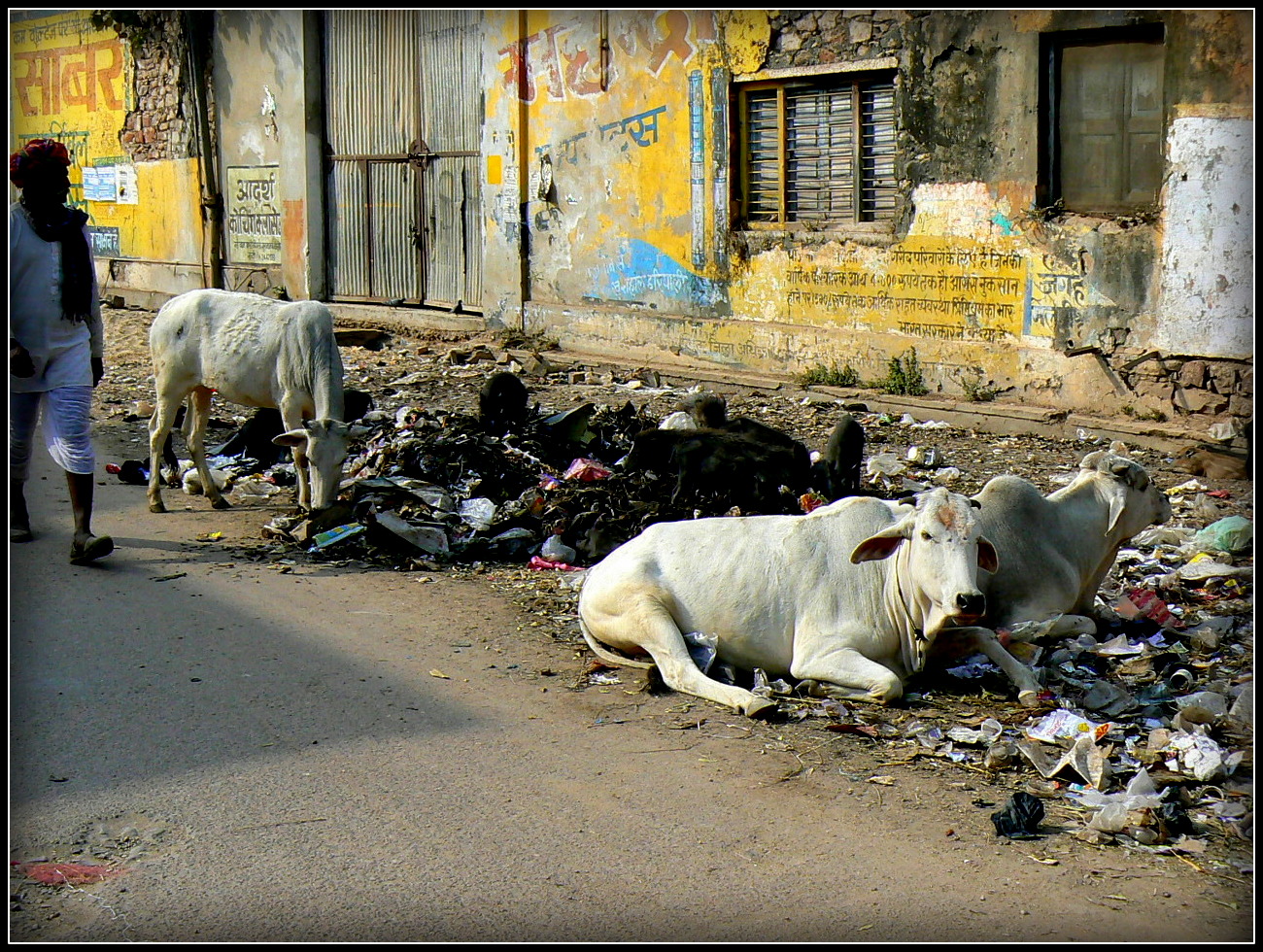 Bundi 