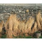 Bundles of Straw (South Uist)