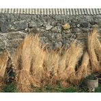 Bundles of Straw (South Uist)