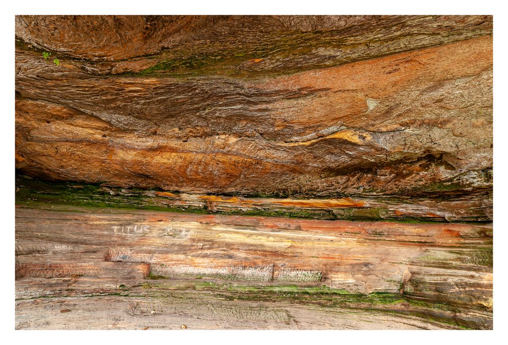 Bundsandstein im Kirkeler Felsenland Foto & Bild world, wald, winter