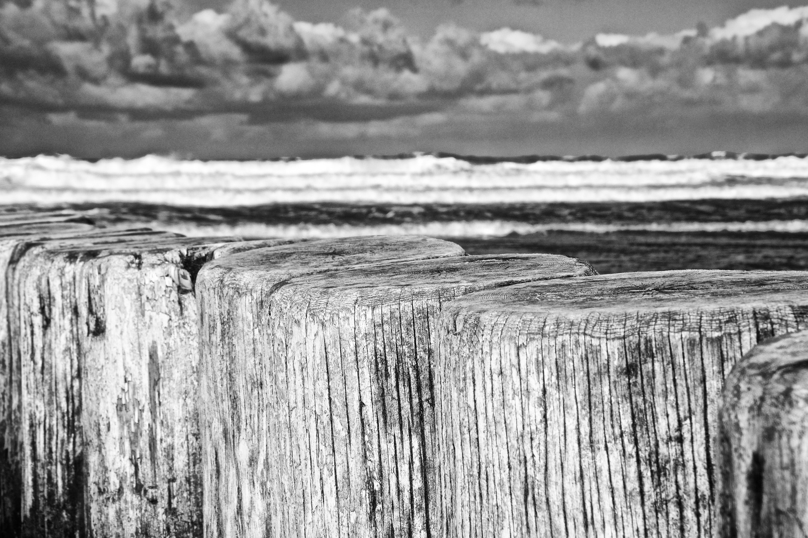 Bune, Brandung - Norderney