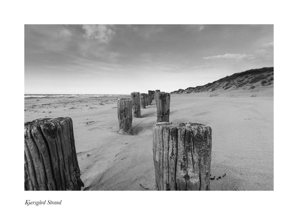 Bunen am Strand