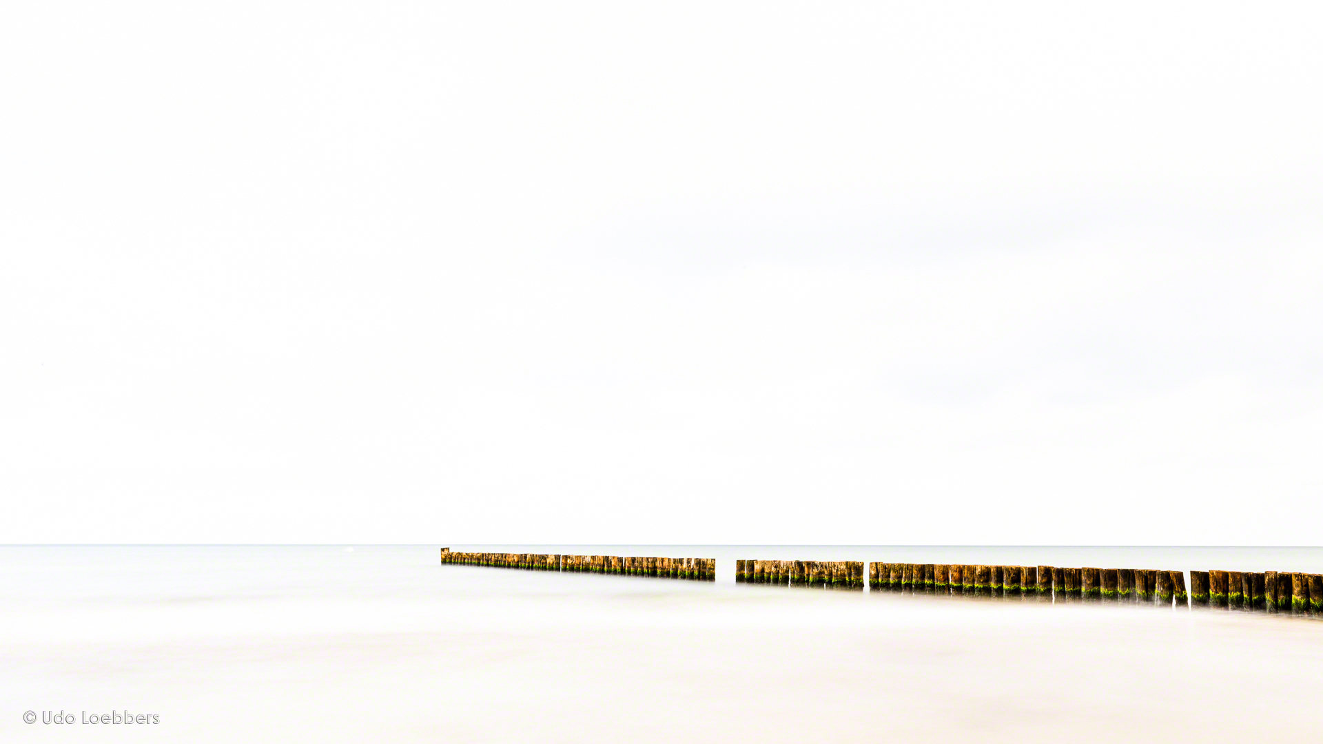 Bunen am Strand von Zingst