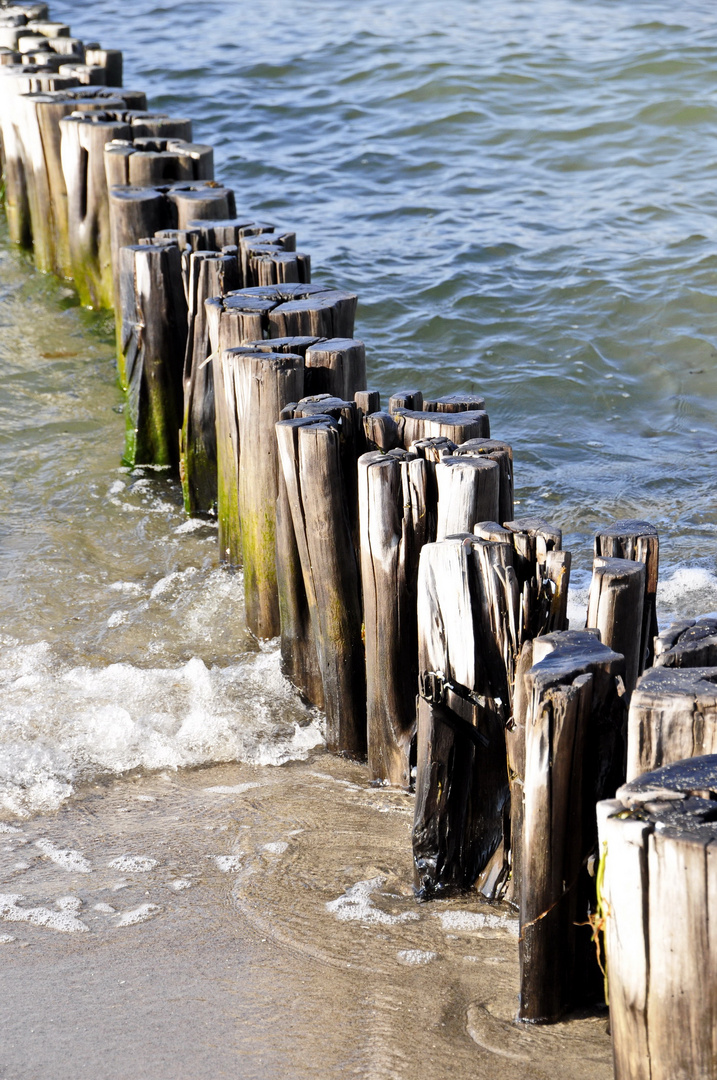 Bunen in Zingst