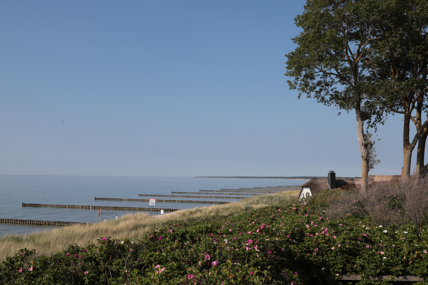 Bunen und Meer