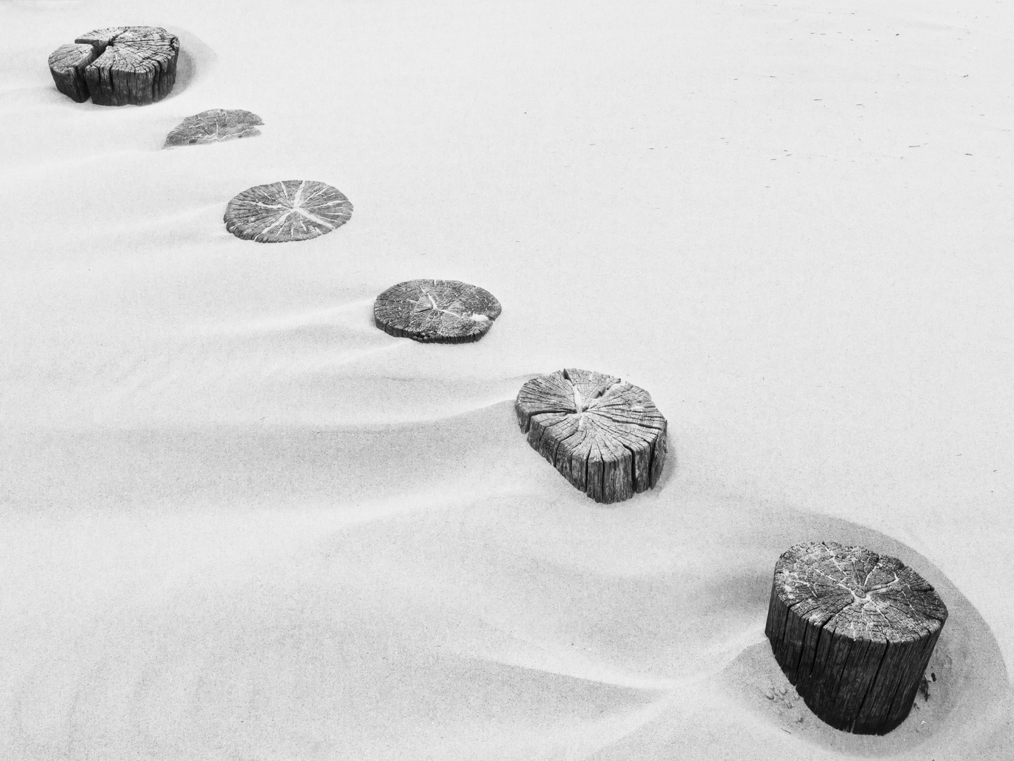 Bunen und Verwehungen, Ameland 2010