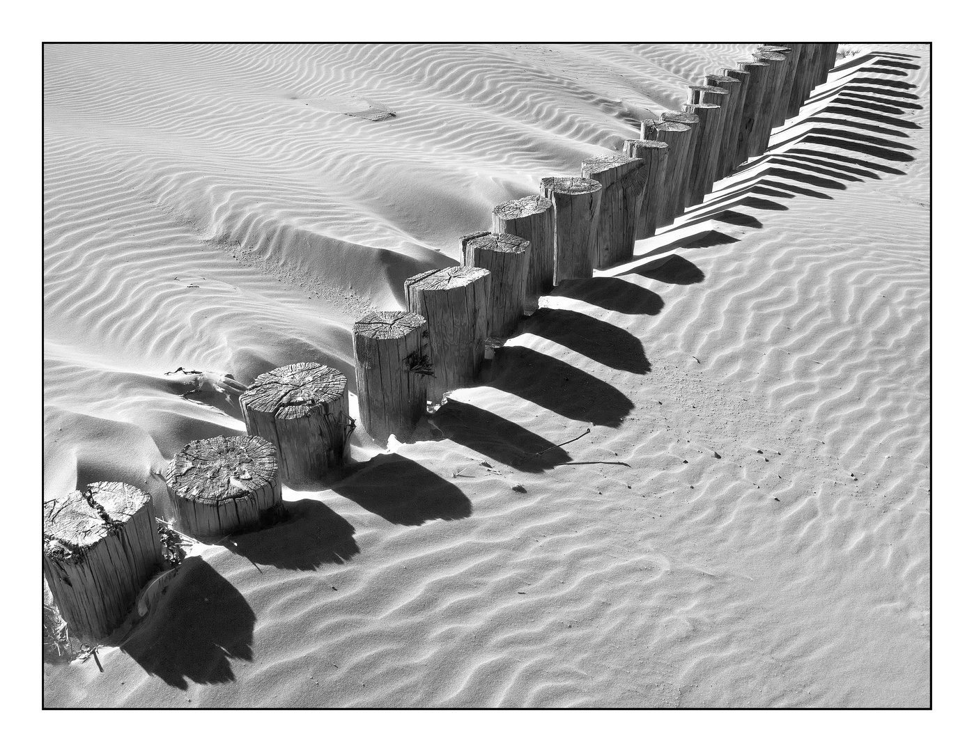 Bunenreihe und Schatten, Ameland 2009