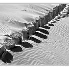 Bunenreihe und Schatten, Ameland 2009