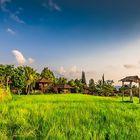 Bungalow Anlage auf Bali