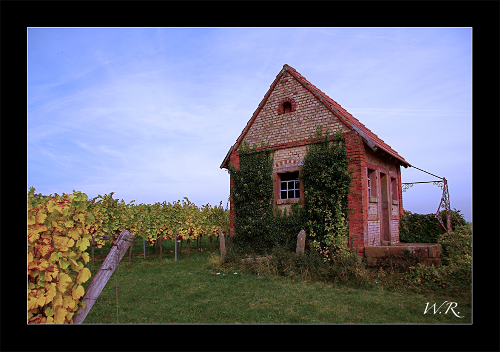 Bungalow in den Elsässer Weinbergen :-))