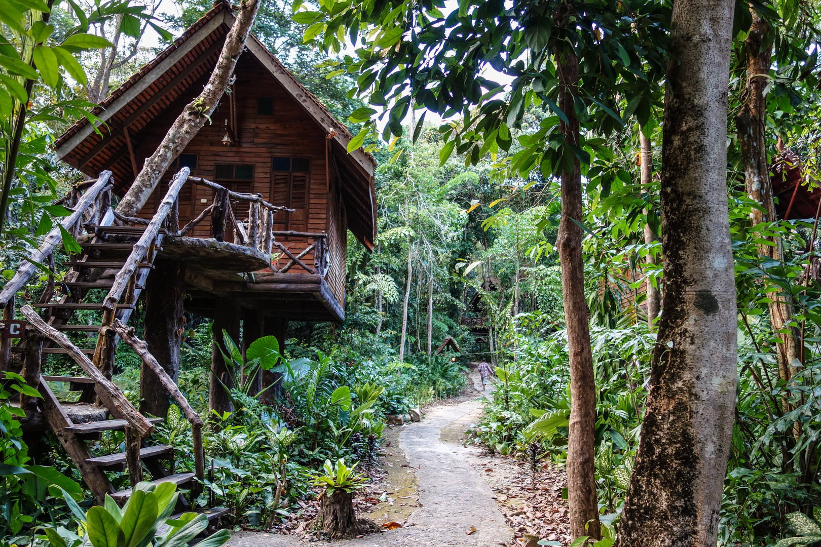 Bungalow Khao Sok Nationalpark Foto & Bild asia, thailand, southeast asia Bilder auf