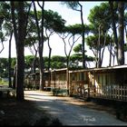 Bungalows in Italien