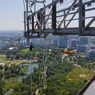 Bungee Jumper Kätzchen...