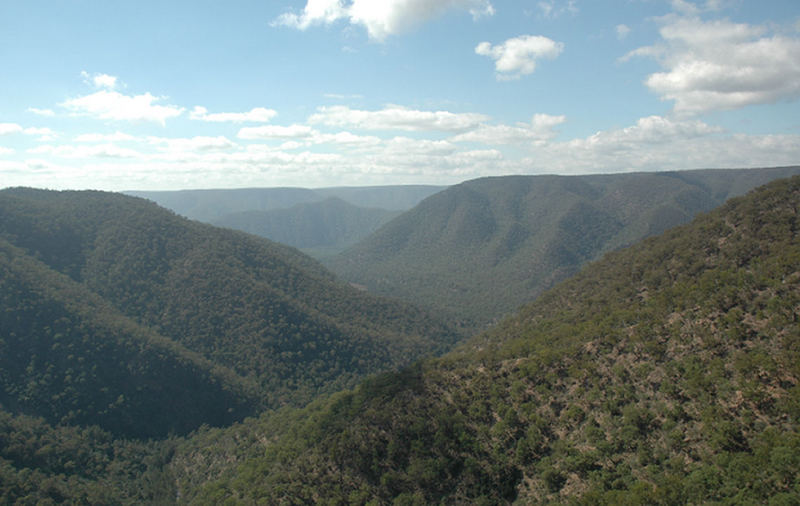 Bungonia Gorge