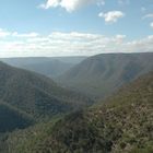 Bungonia Gorge