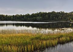 Bungsatjörna