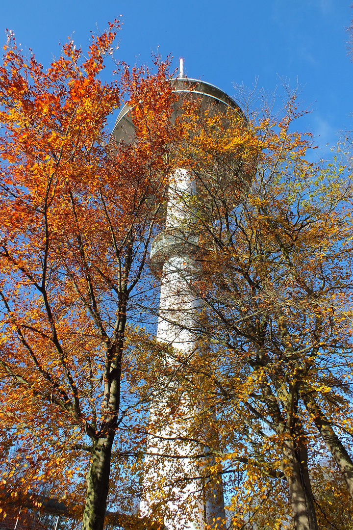 Bungsberg