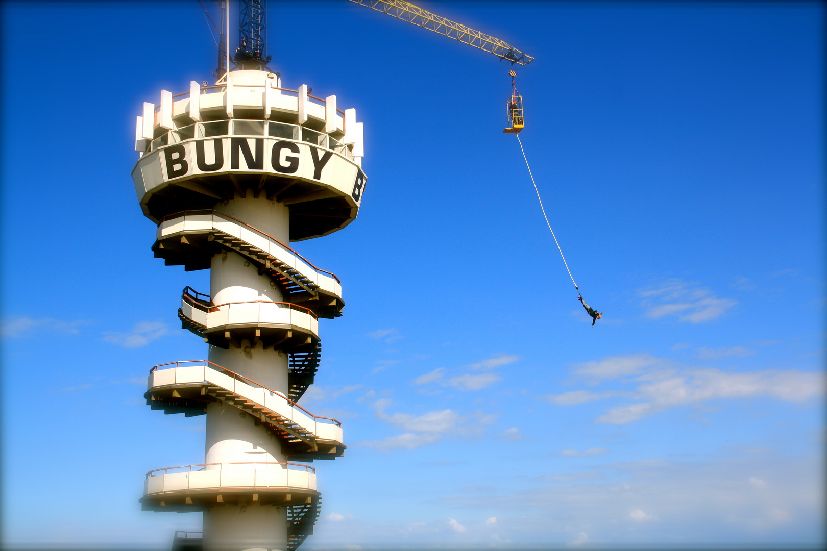 Bungy