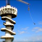 Bungy