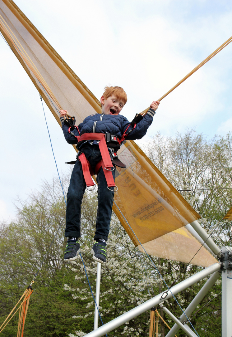 Bungy