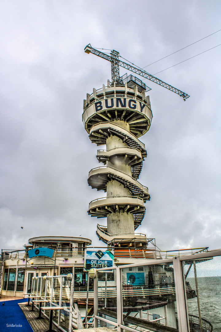 Bungy