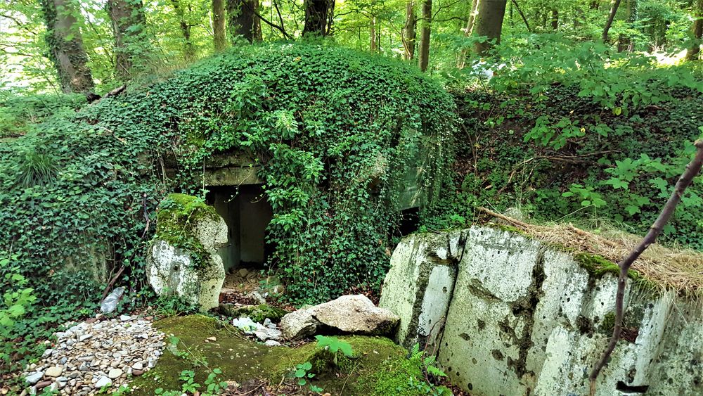 Bunker 11