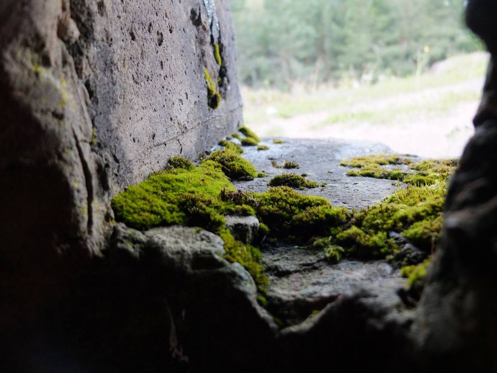 Bunker auf den Lingekopf ( im Munstertal bei Colmar )