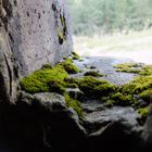 Bunker auf den Lingekopf ( im Munstertal bei Colmar )