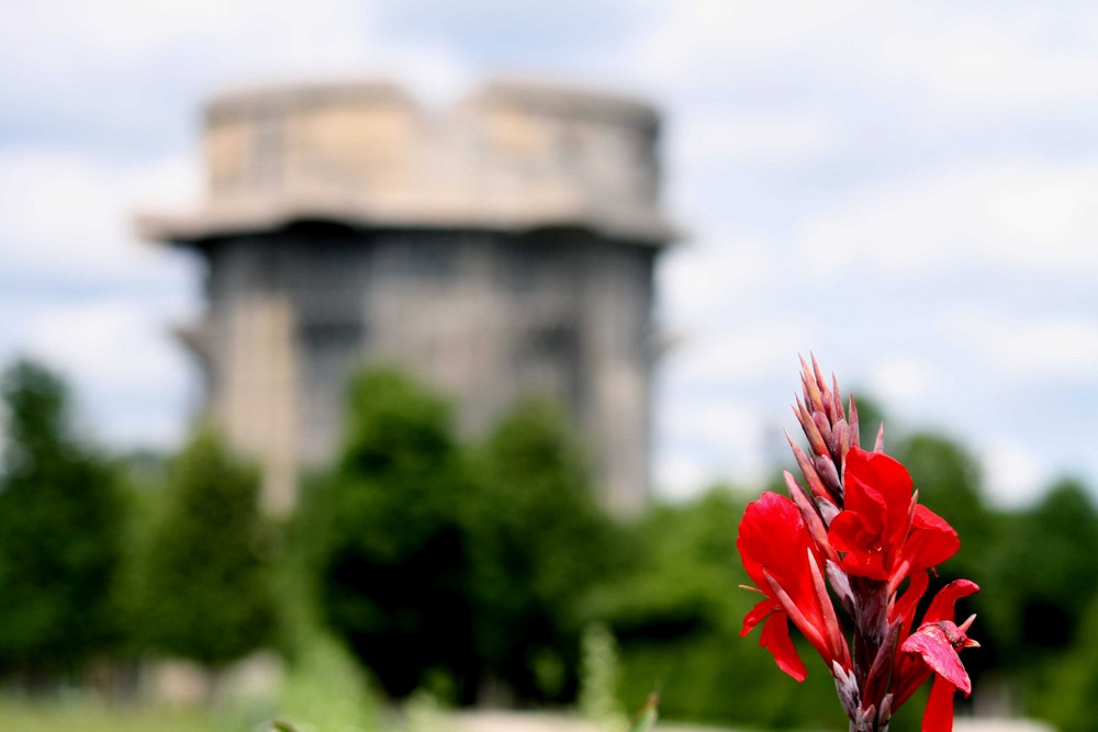 Bunker im Augarten, Wien