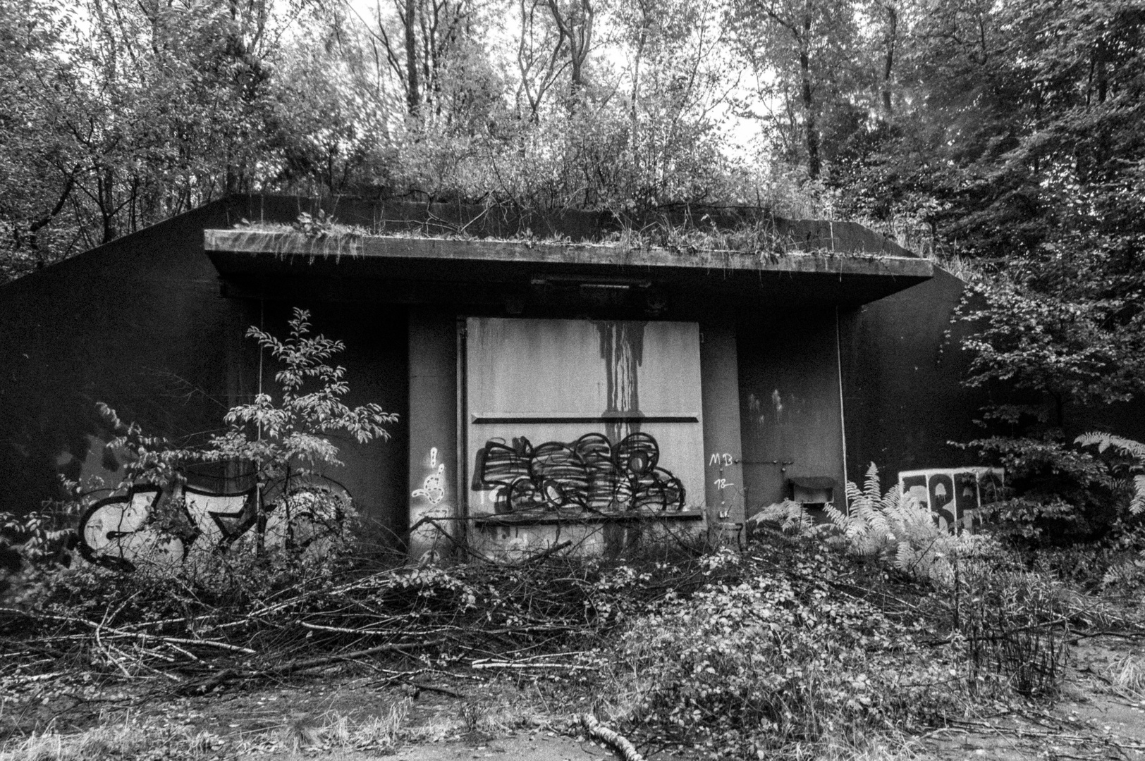 Bunker im Bunker Wald-SW