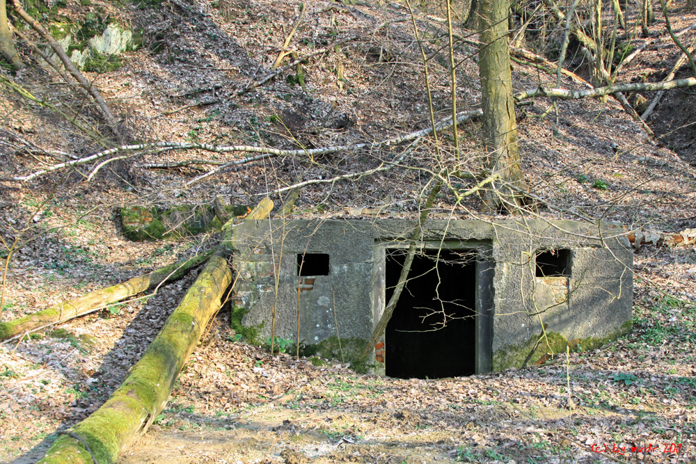 Bunker im Wald