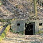 Bunker im Wald