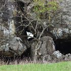 Bunker in der Eifel