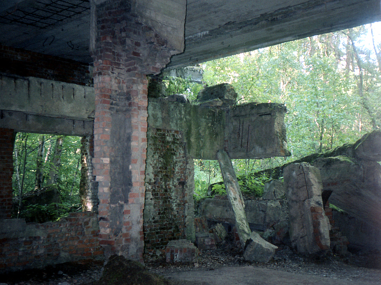 Bunker-Ruine in der ehemaligen "Wolfsschanze"