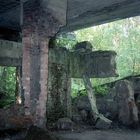 Bunker-Ruine in der ehemaligen "Wolfsschanze"