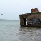 Bunker vor Ahrenshoop