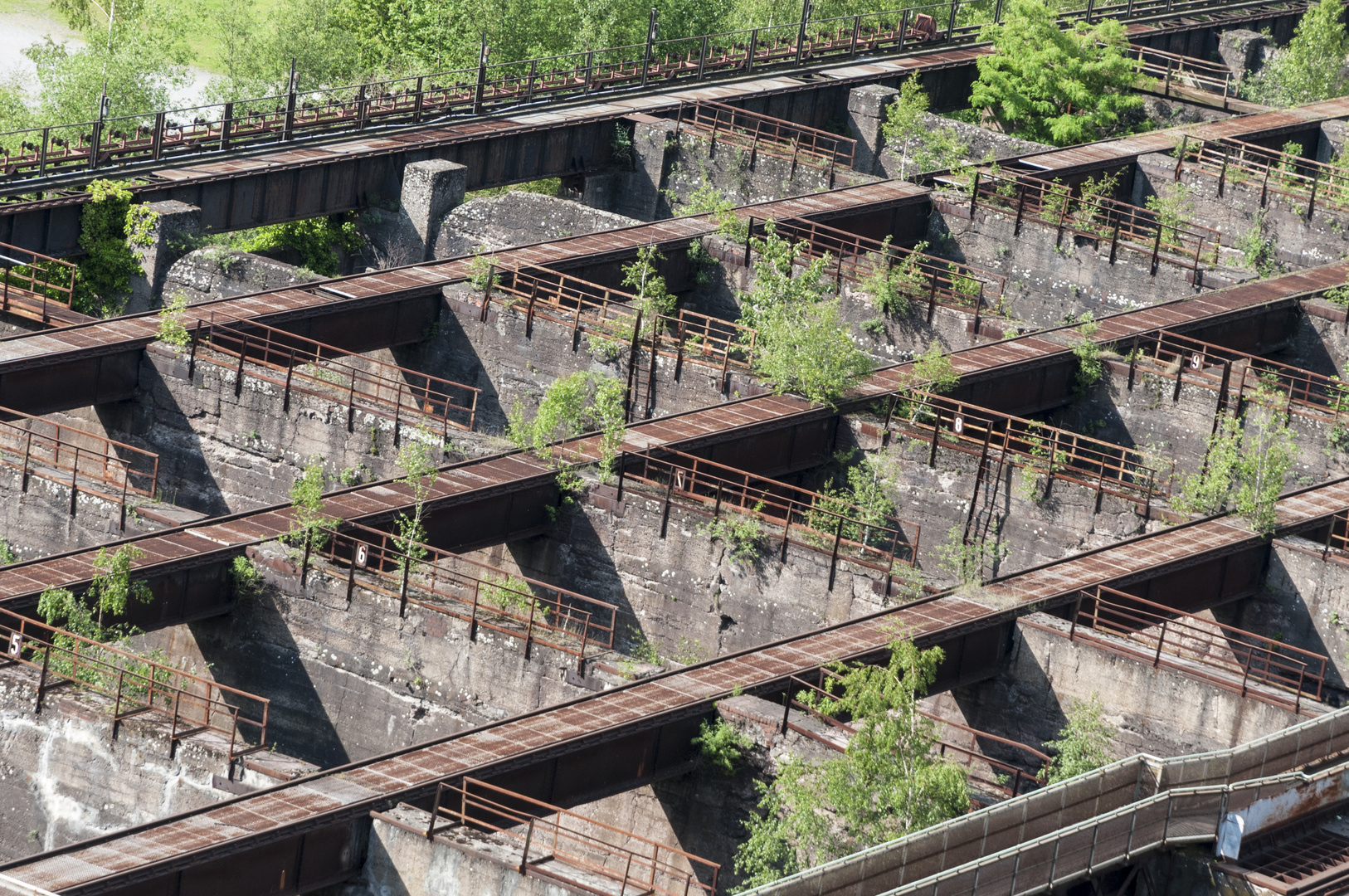 Bunkeranlage vs. Natur